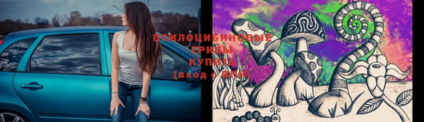 индика Алексин