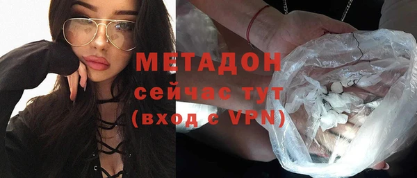 индика Алексин