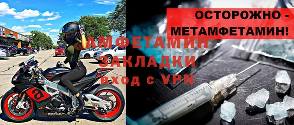 индика Алексин