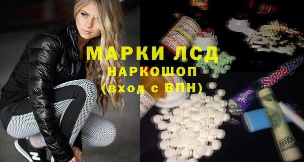 индика Алексин