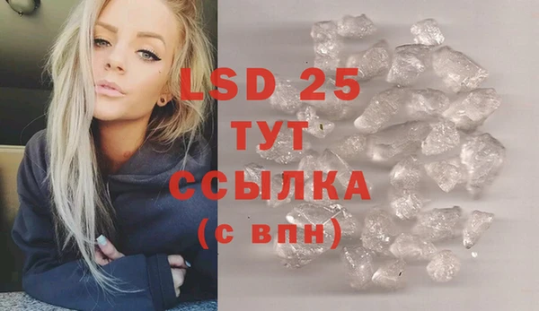 индика Алексин